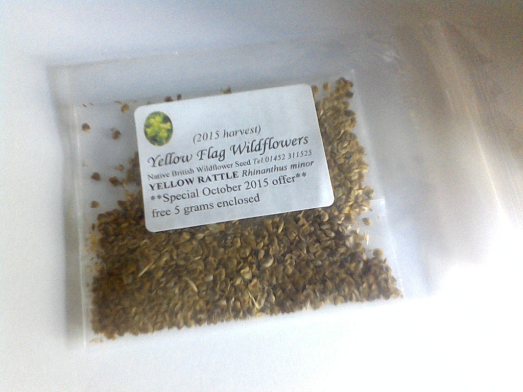 free wildflower seeds 2015