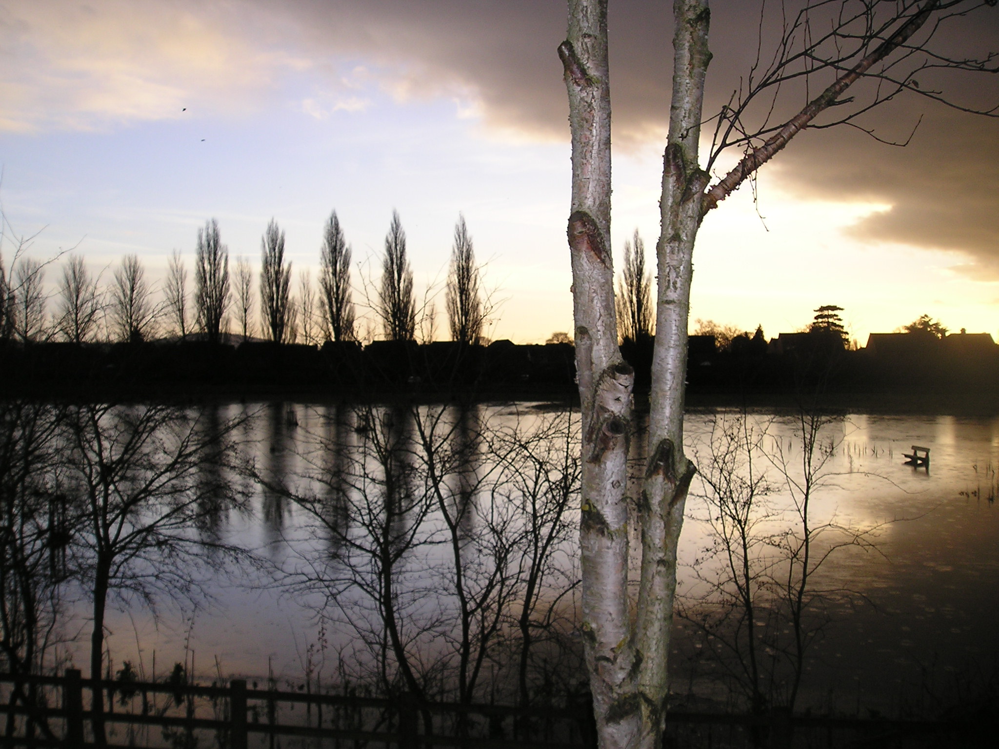 Wildflowers for wet areas Wildflowers UK Blog