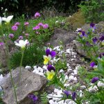 Wildflower combinations