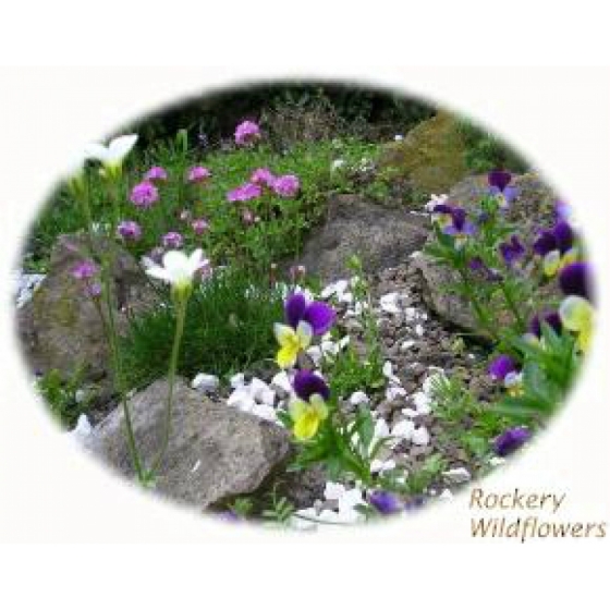 Rockeries Selection