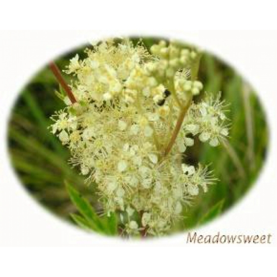 Scented Wild Flowers Selection